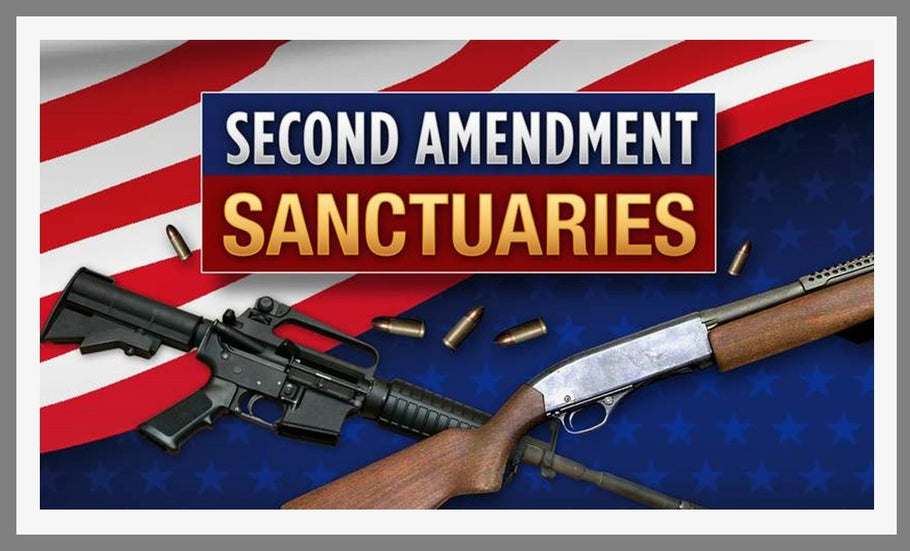 Second Amendment Sanctuary States; Do we need them?